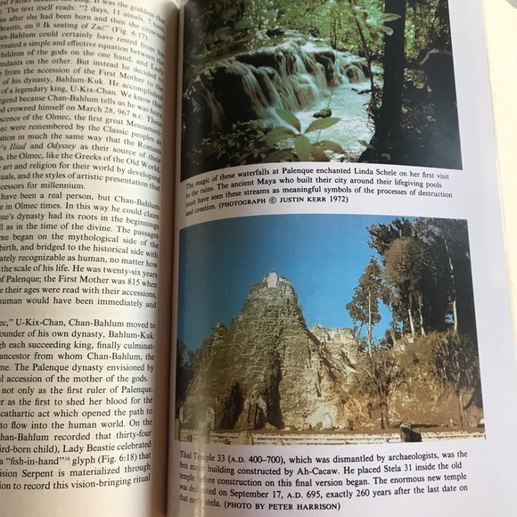 A forest of kings, the untold story of the ancient Maya Linda Schele VTG book - Picture 5 of 8